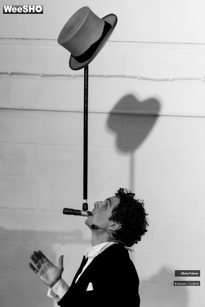 25/33 photos du spectacle Formidable