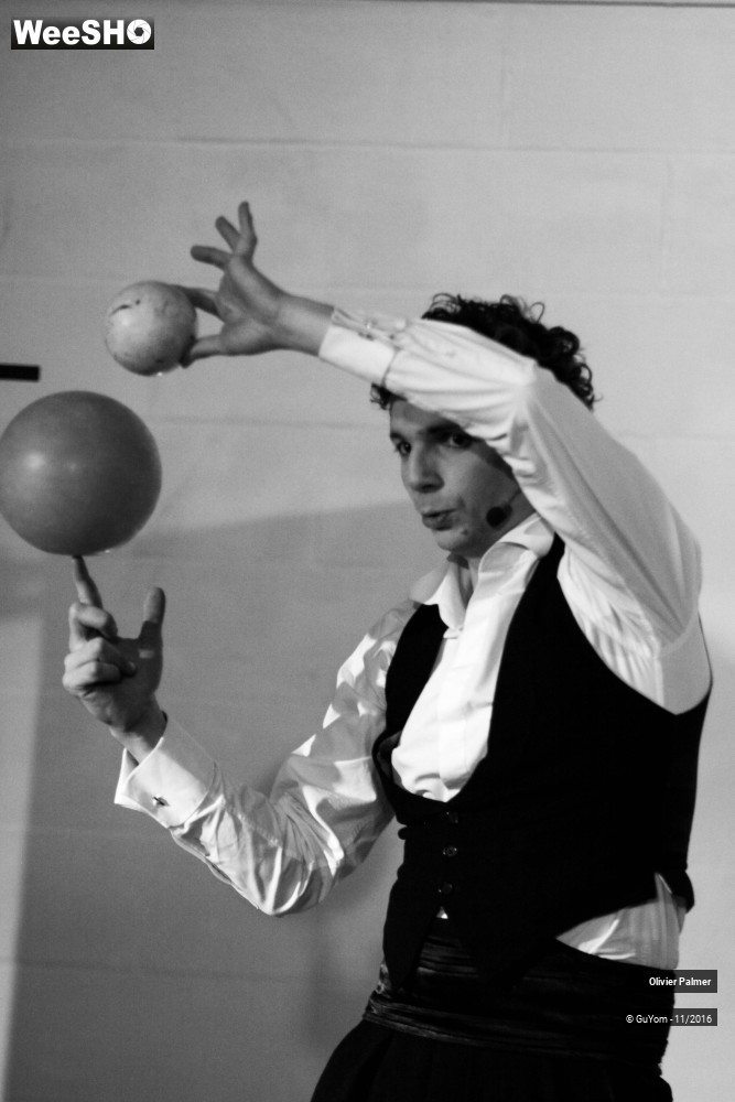 29/33 photos du spectacle Formidable