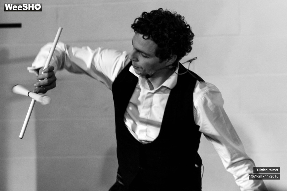 31/33 photos du spectacle Formidable