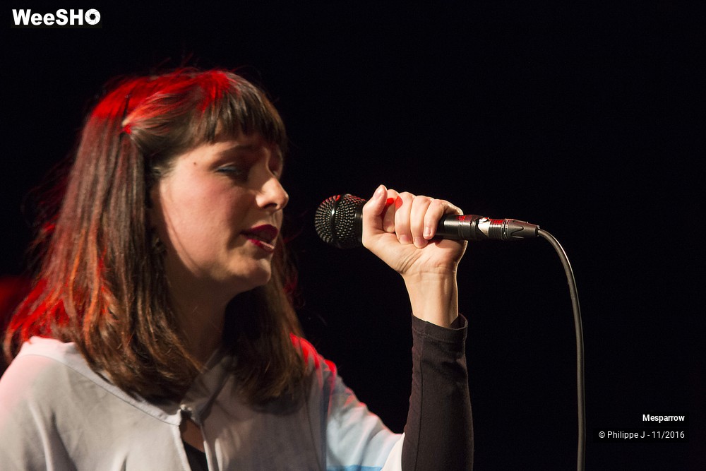 1/19 photos du spectacle Mesparrow