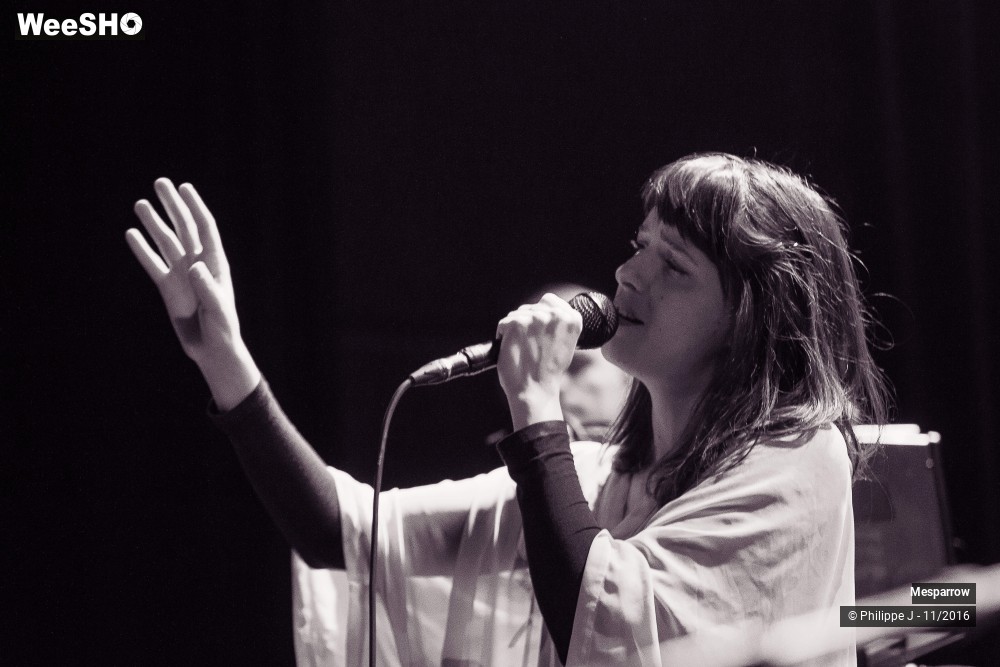 2/19 photos du spectacle Mesparrow