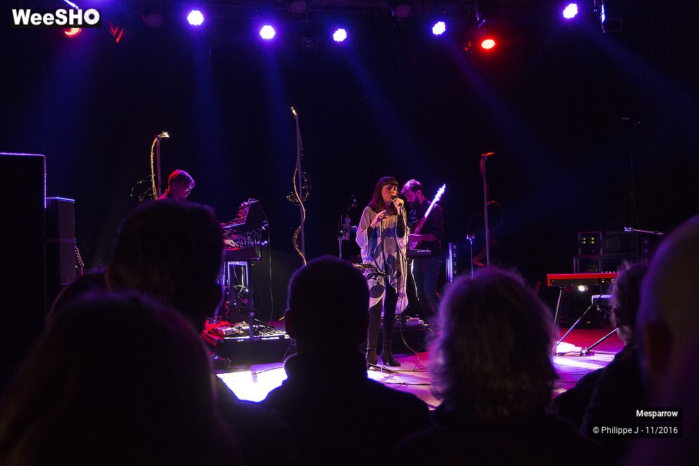 11/19 photos du spectacle Mesparrow