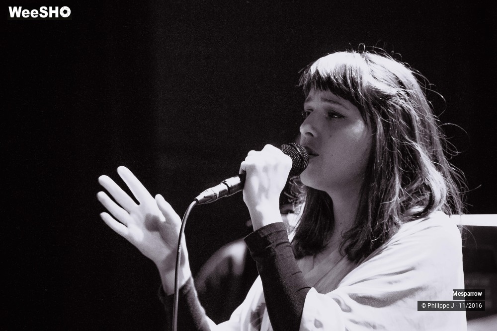 13/19 photos du spectacle Mesparrow