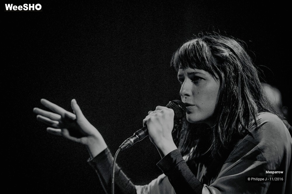 18/19 photos du spectacle Mesparrow