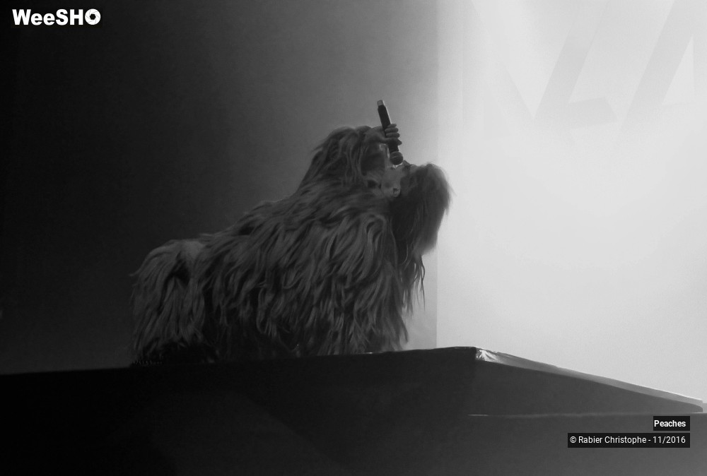 1/27 photos du spectacle Peaches