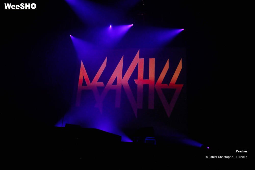 13/27 photos du spectacle Peaches