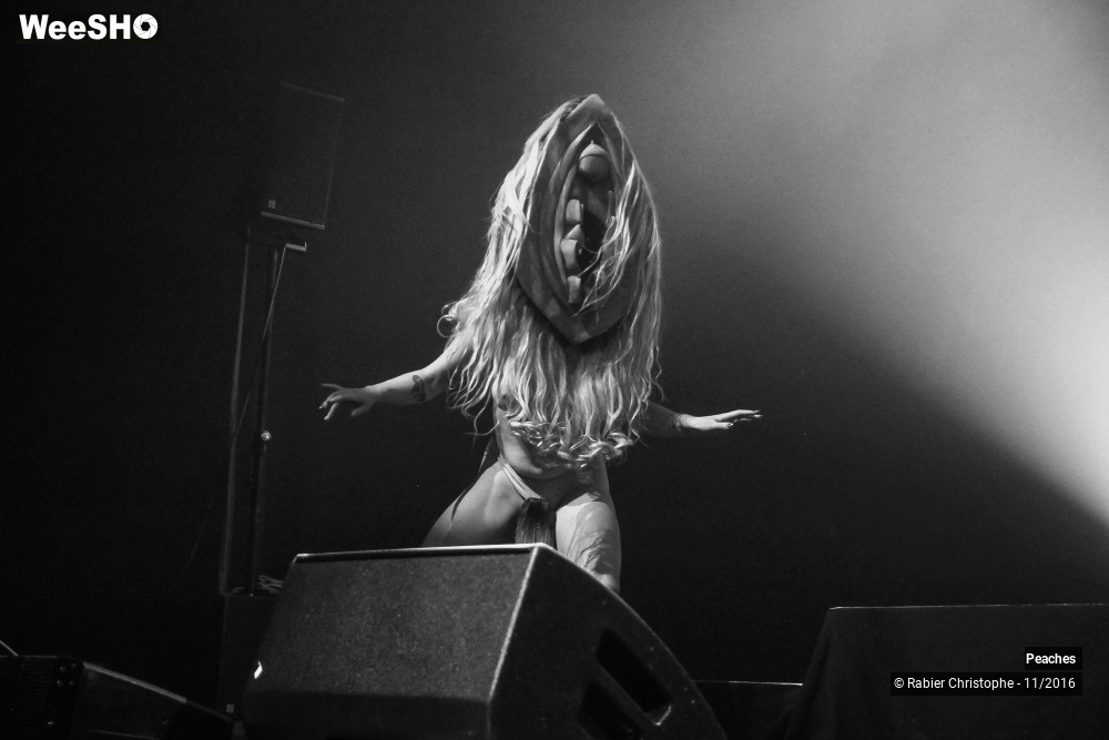 14/27 photos du spectacle Peaches