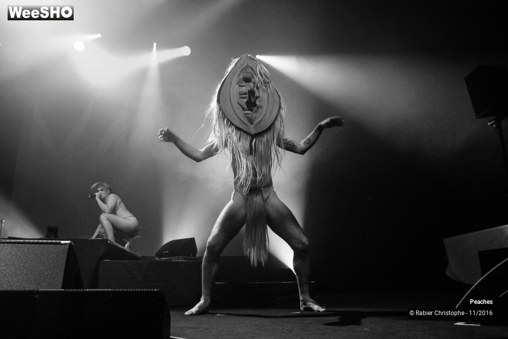 15/27 photos du spectacle Peaches