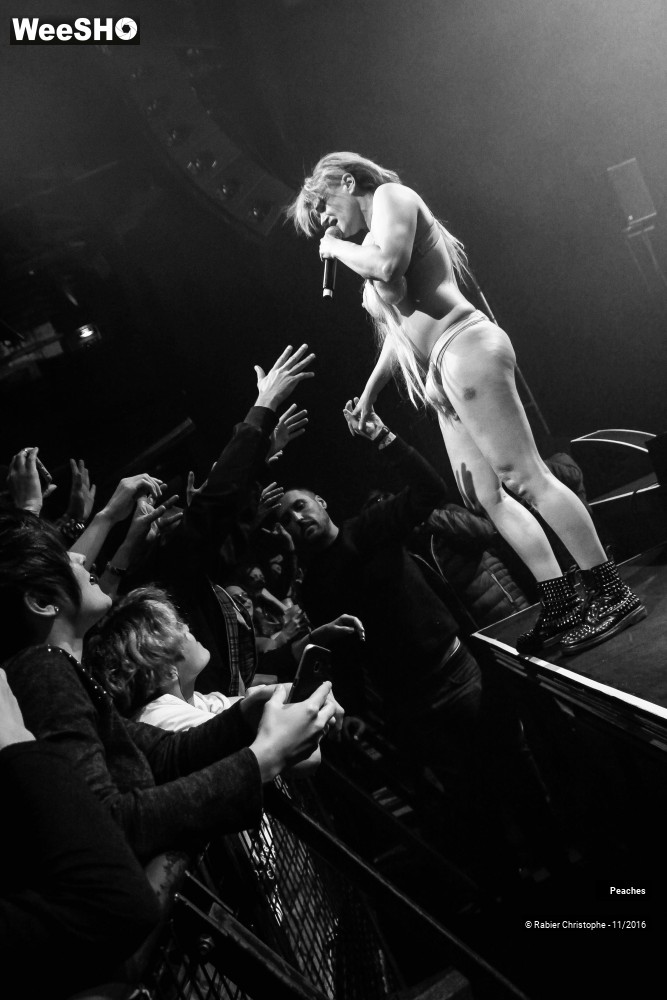 19/27 photos du spectacle Peaches