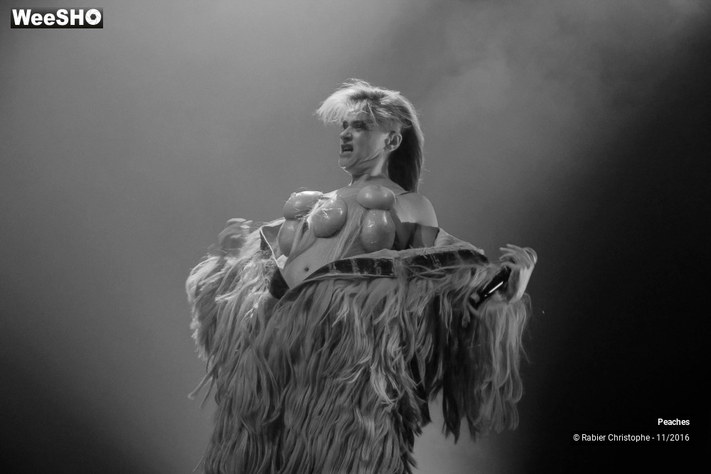 20/27 photos du spectacle Peaches