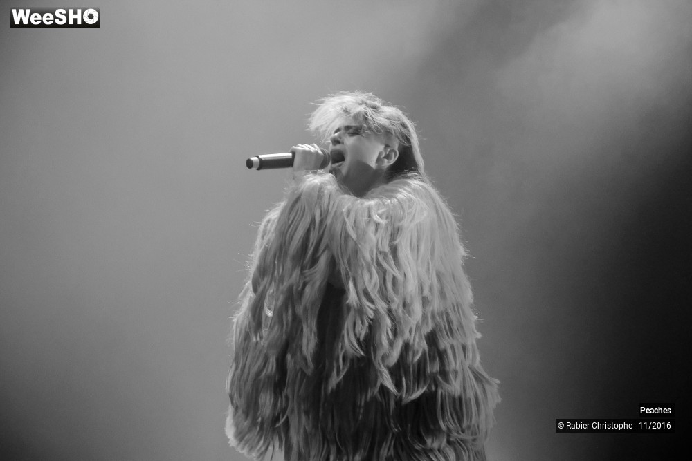 24/27 photos du spectacle Peaches