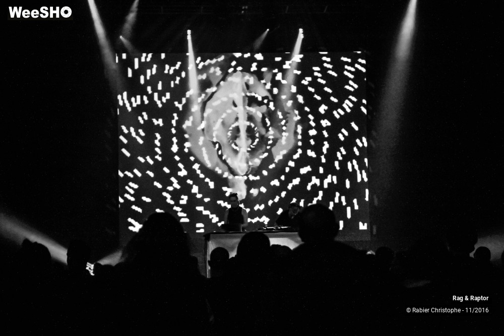 1/12 photos du spectacle Rag & Raptor