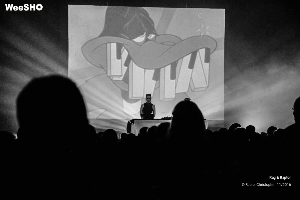 8/12 photos du spectacle Rag & Raptor