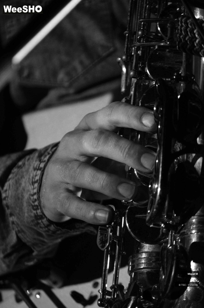 11/29 photos du spectacle Miguel M