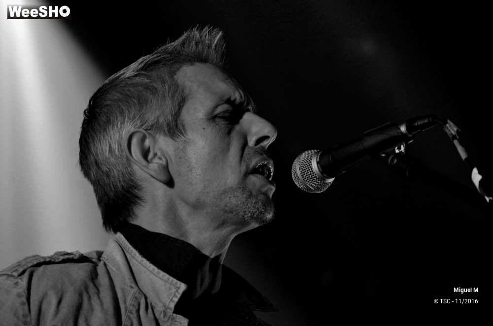 13/29 photos du spectacle Miguel M