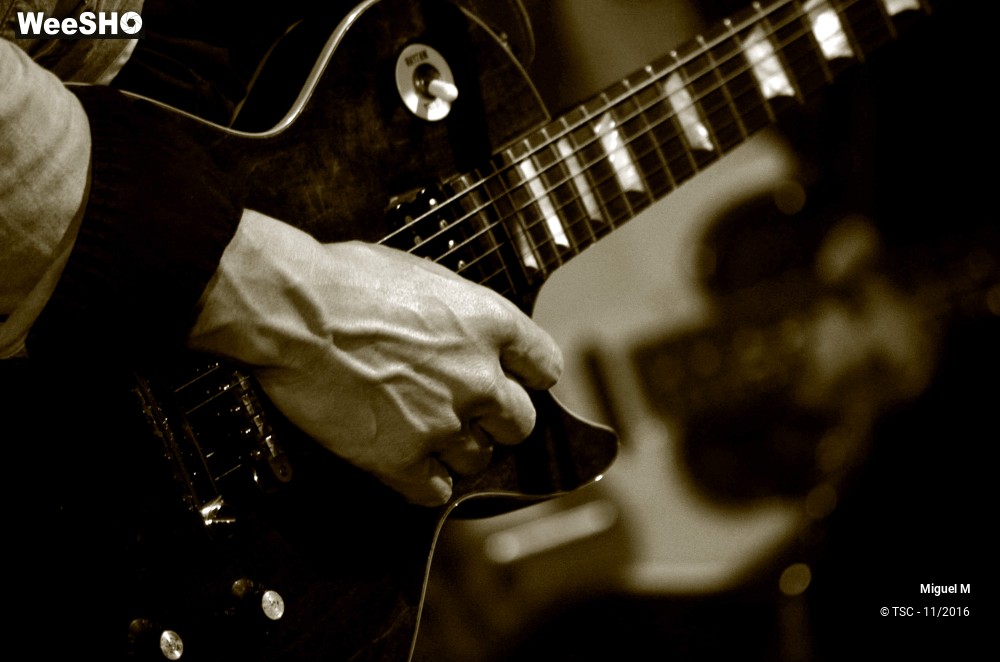 16/29 photos du spectacle Miguel M