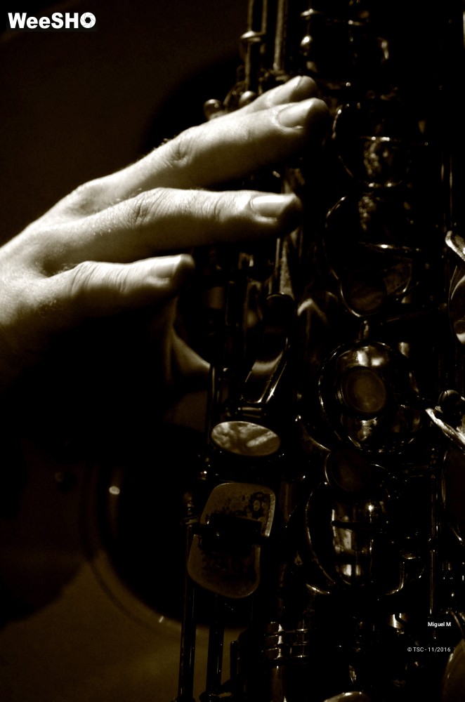 17/29 photos du spectacle Miguel M