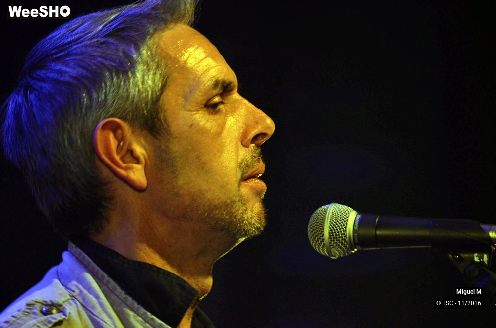 22/29 photos du spectacle Miguel M