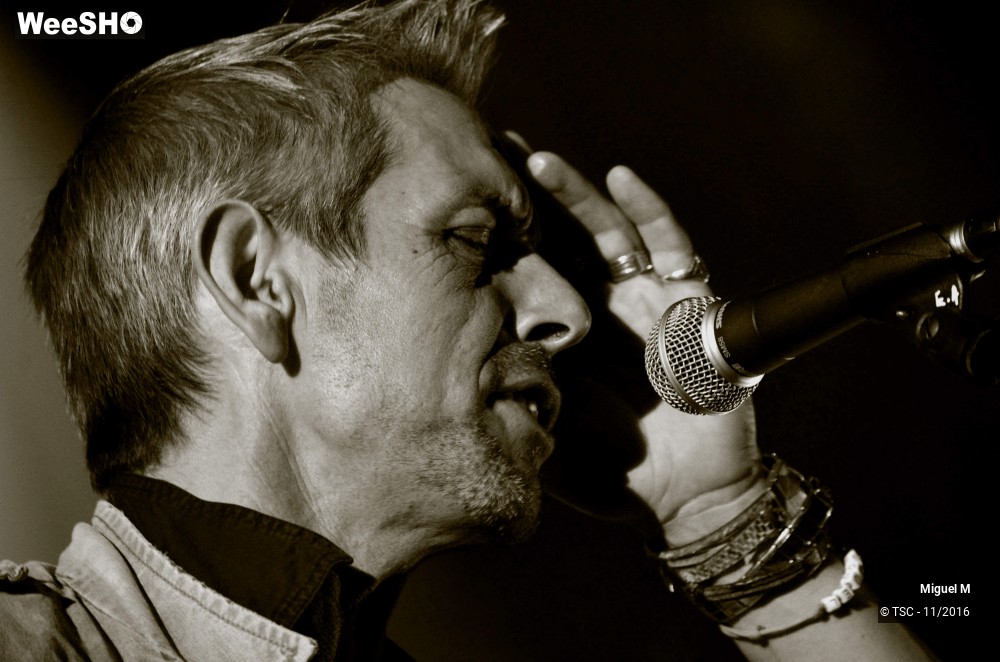 25/29 photos du spectacle Miguel M