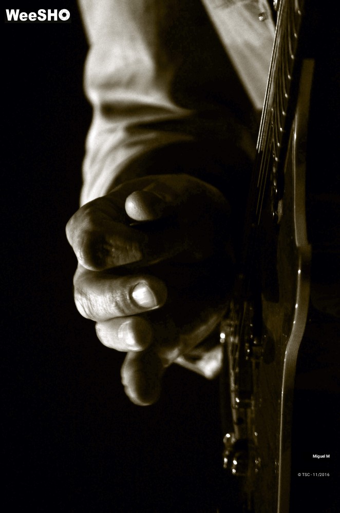 29/29 photos du spectacle Miguel M