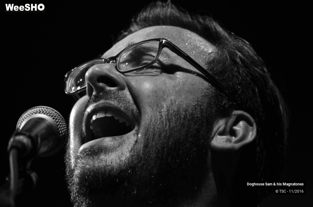 1/28 photos du spectacle Doghouse Sam & His Magnatones