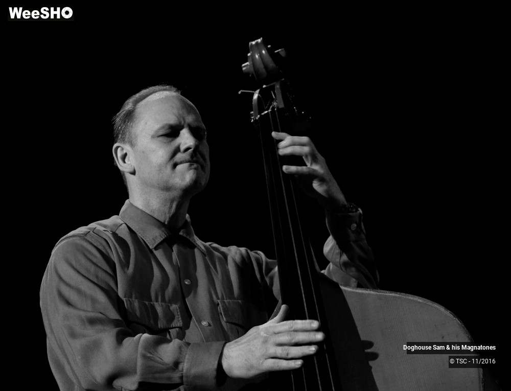 6/28 photos du spectacle Doghouse Sam & His Magnatones