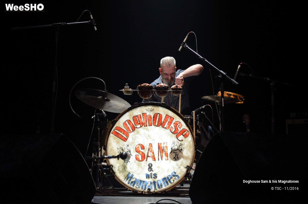 8/28 photos du spectacle Doghouse Sam & His Magnatones
