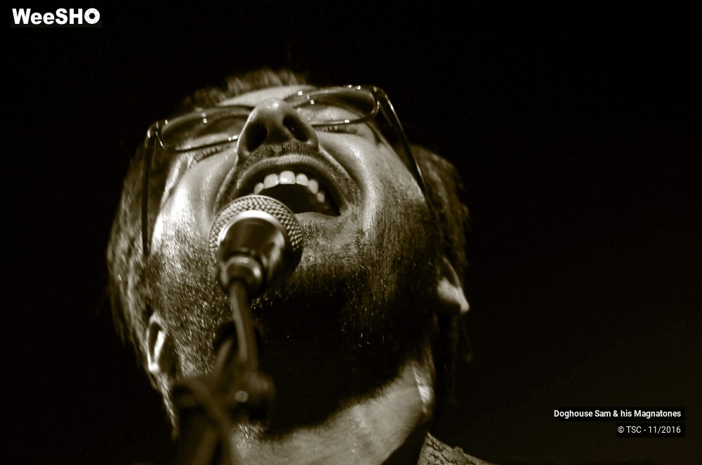 9/28 photos du spectacle Doghouse Sam & His Magnatones