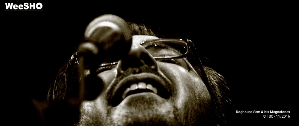 10/28 photos du spectacle Doghouse Sam & His Magnatones