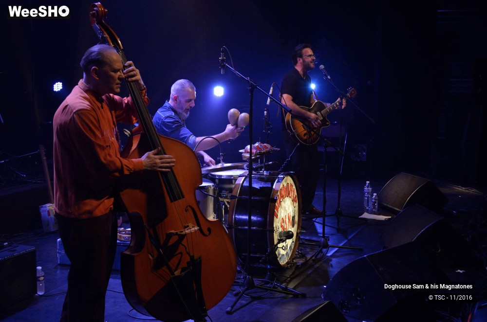 13/28 photos du spectacle Doghouse Sam & His Magnatones