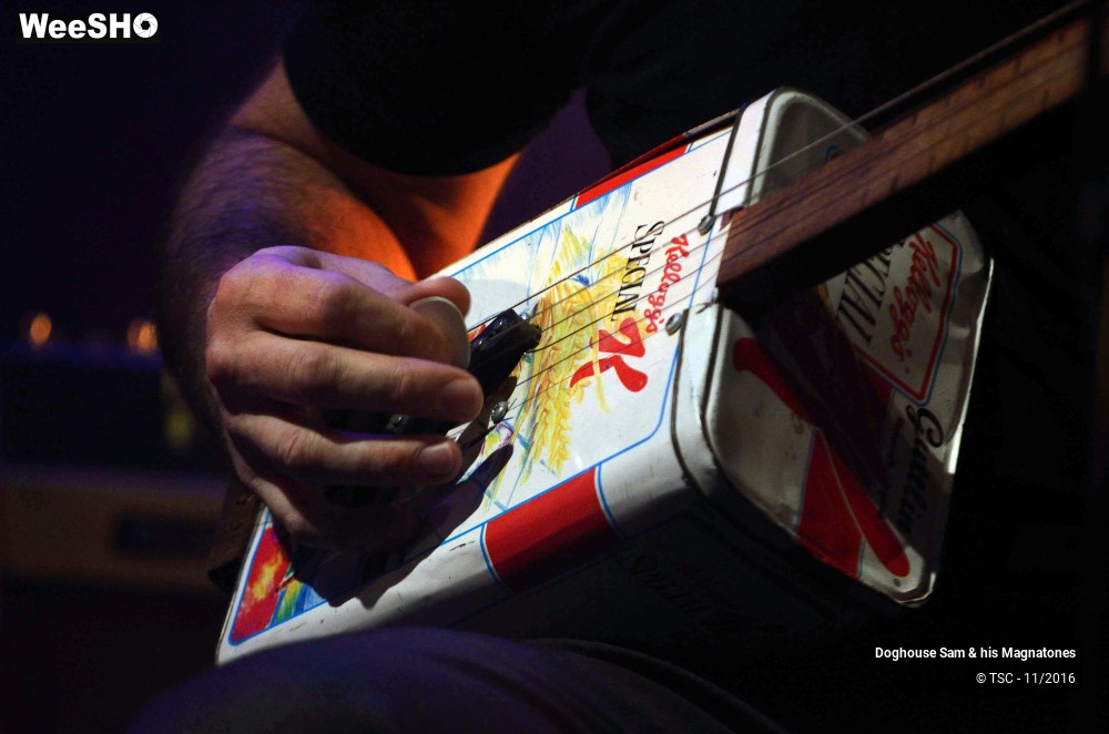 15/28 photos du spectacle Doghouse Sam & His Magnatones