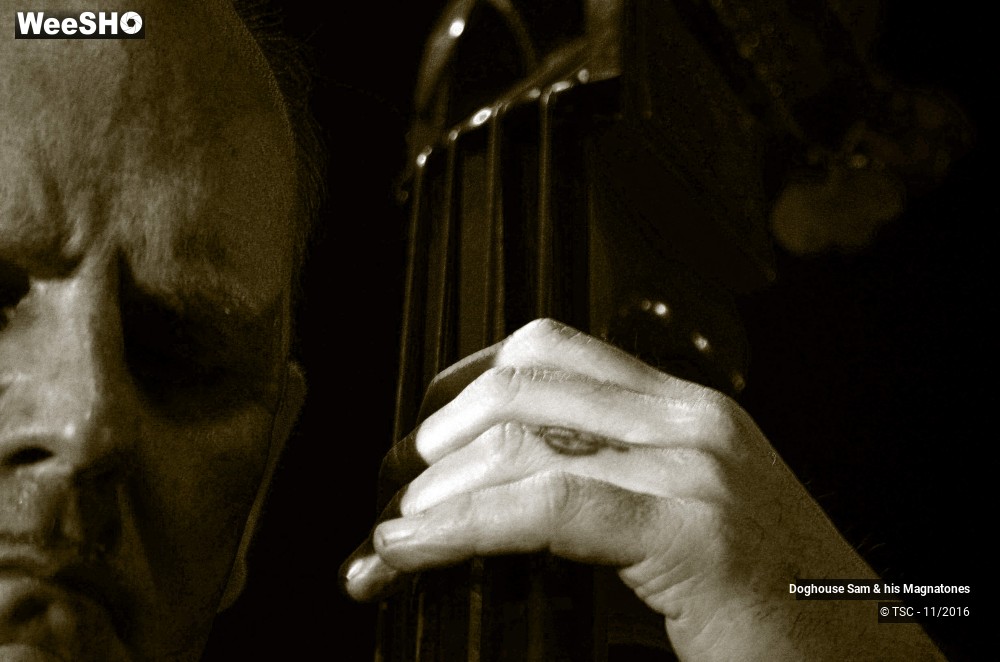 18/28 photos du spectacle Doghouse Sam & His Magnatones