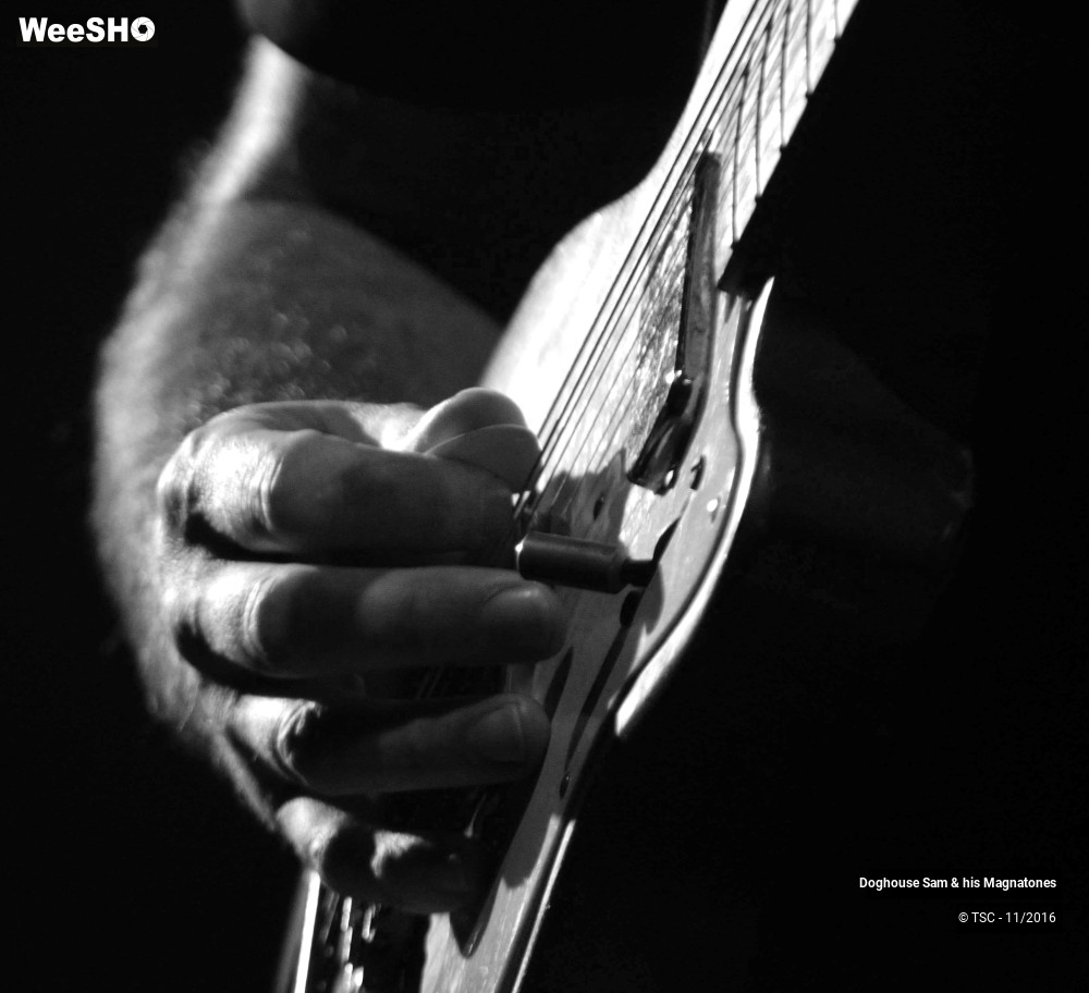 19/28 photos du spectacle Doghouse Sam & His Magnatones