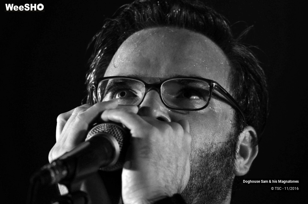 20/28 photos du spectacle Doghouse Sam & His Magnatones