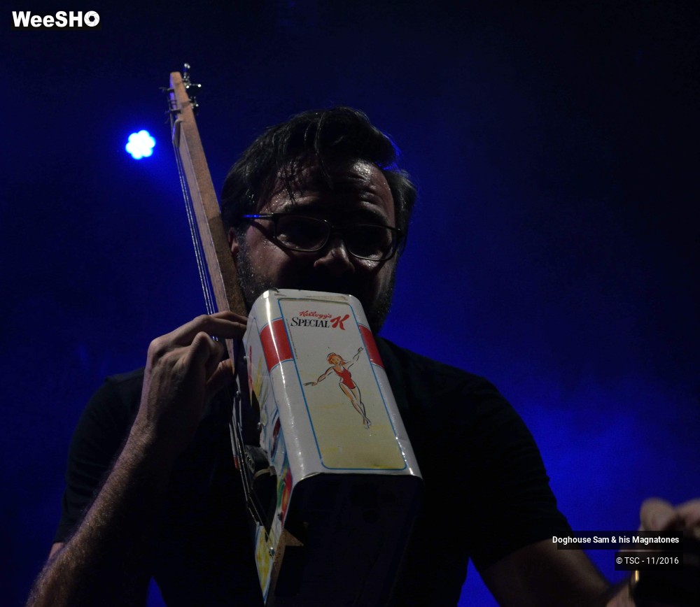 21/28 photos du spectacle Doghouse Sam & His Magnatones