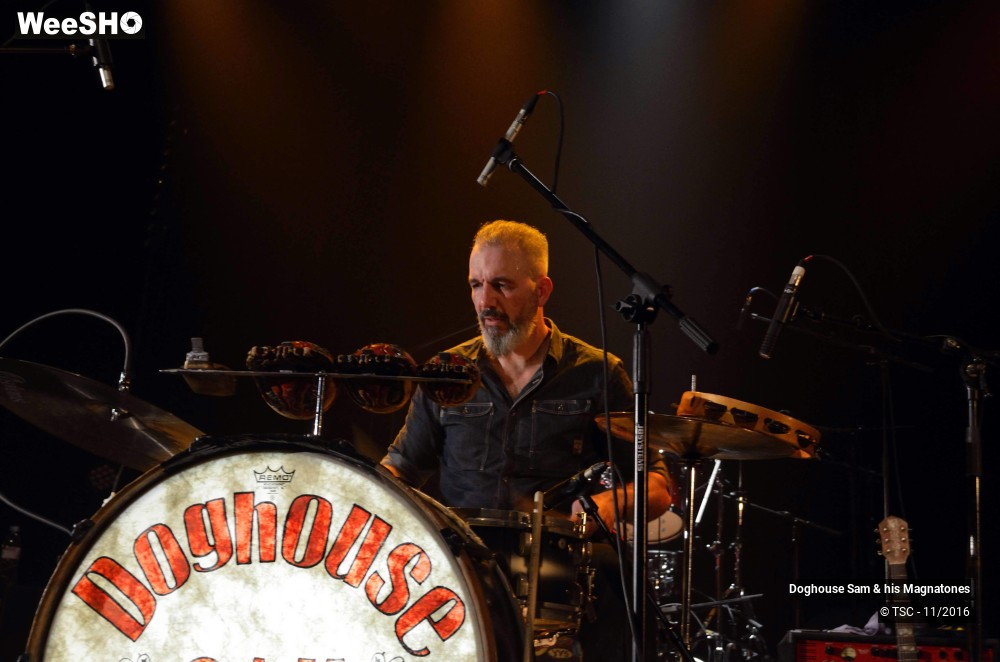 22/28 photos du spectacle Doghouse Sam & His Magnatones