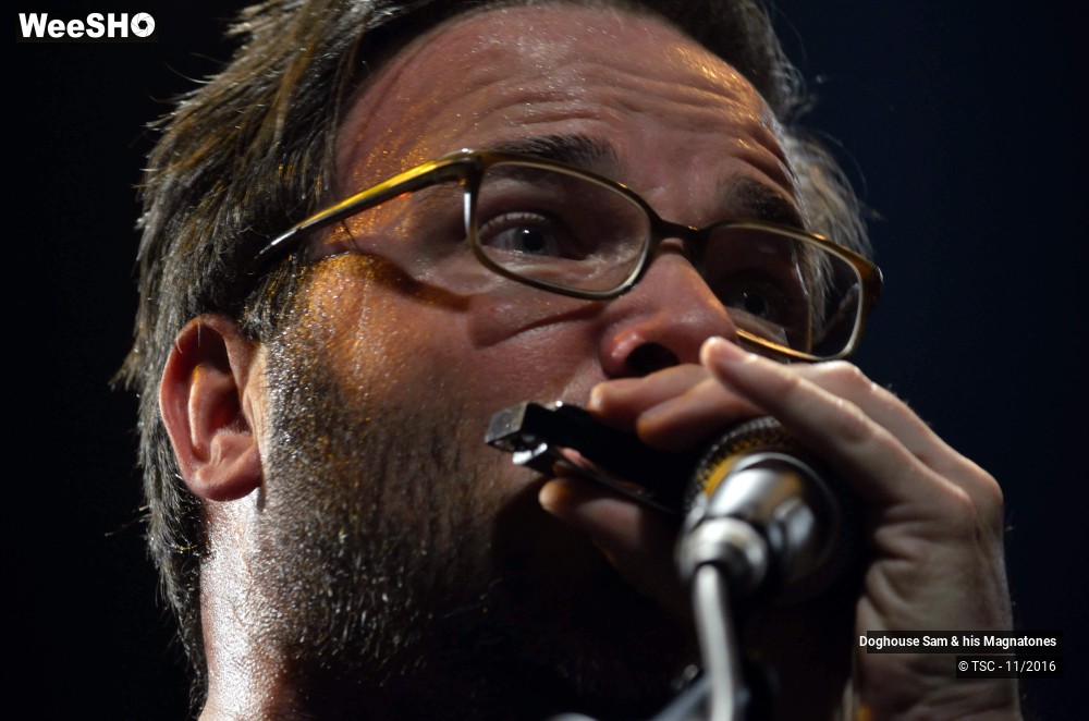 23/28 photos du spectacle Doghouse Sam & His Magnatones