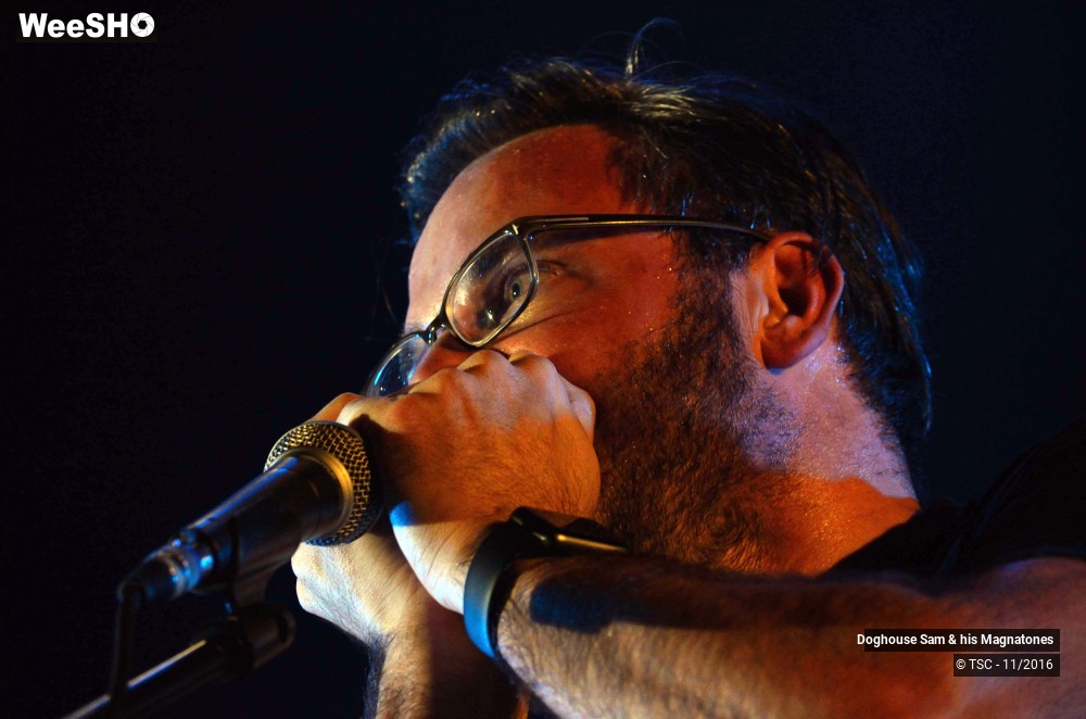 25/28 photos du spectacle Doghouse Sam & His Magnatones