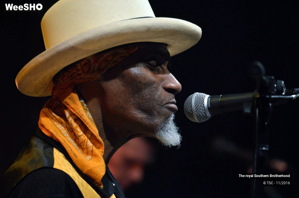 2/45 photos du spectacle The royal Southern Brotherhood