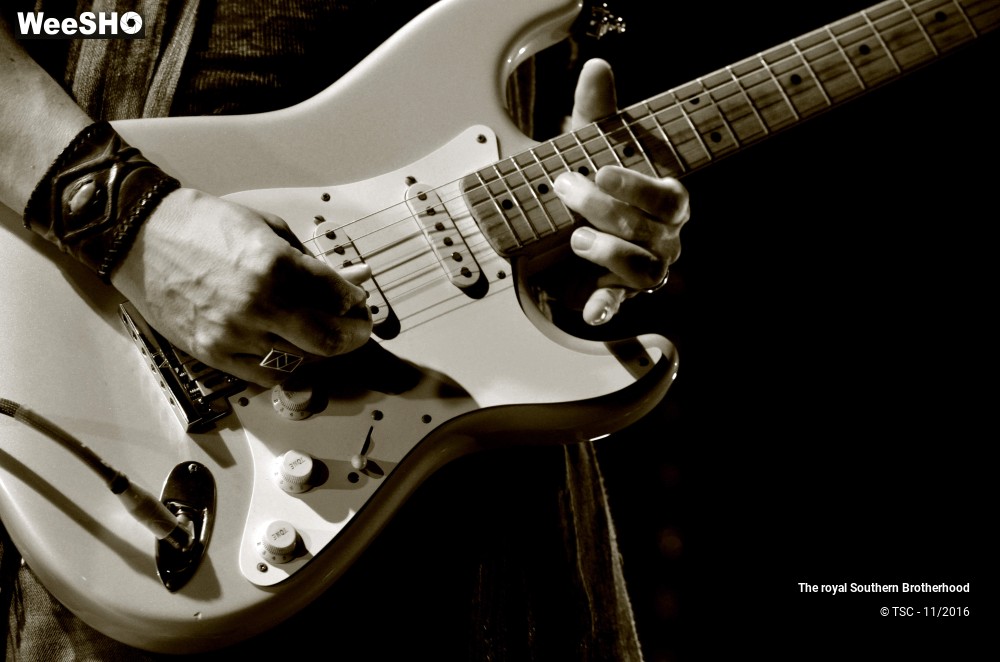 3/45 photos du spectacle The royal Southern Brotherhood