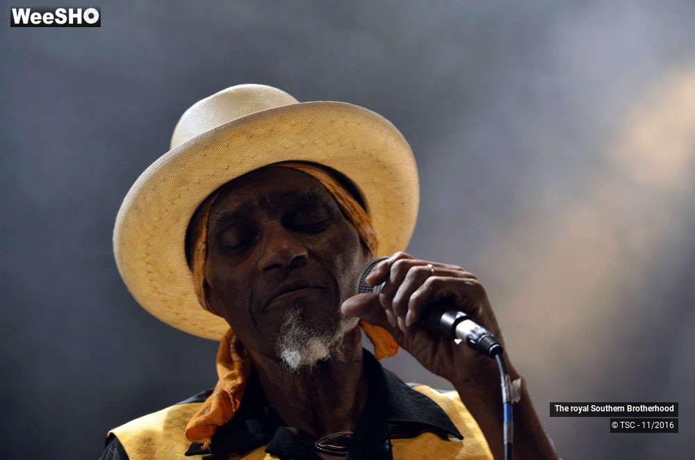 6/45 photos du spectacle The royal Southern Brotherhood