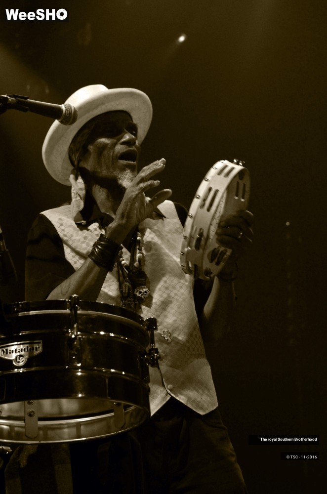 7/45 photos du spectacle The royal Southern Brotherhood