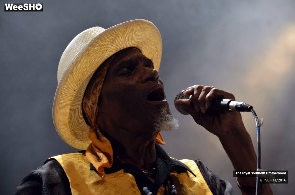 10/45 photos du spectacle The royal Southern Brotherhood