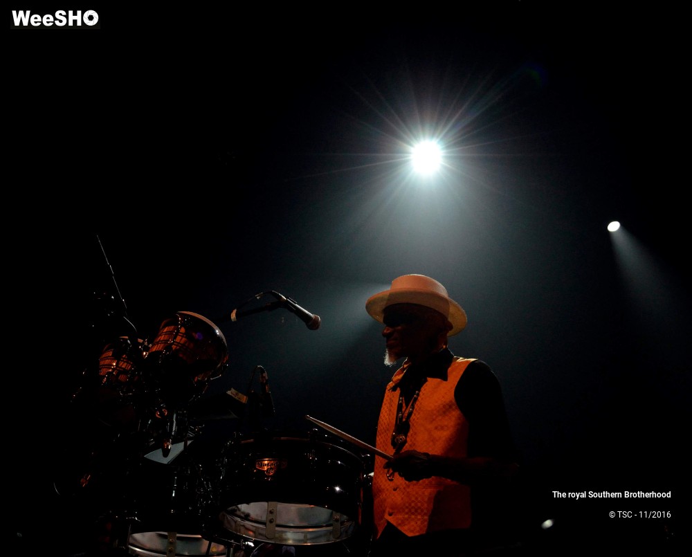 14/45 photos du spectacle The royal Southern Brotherhood