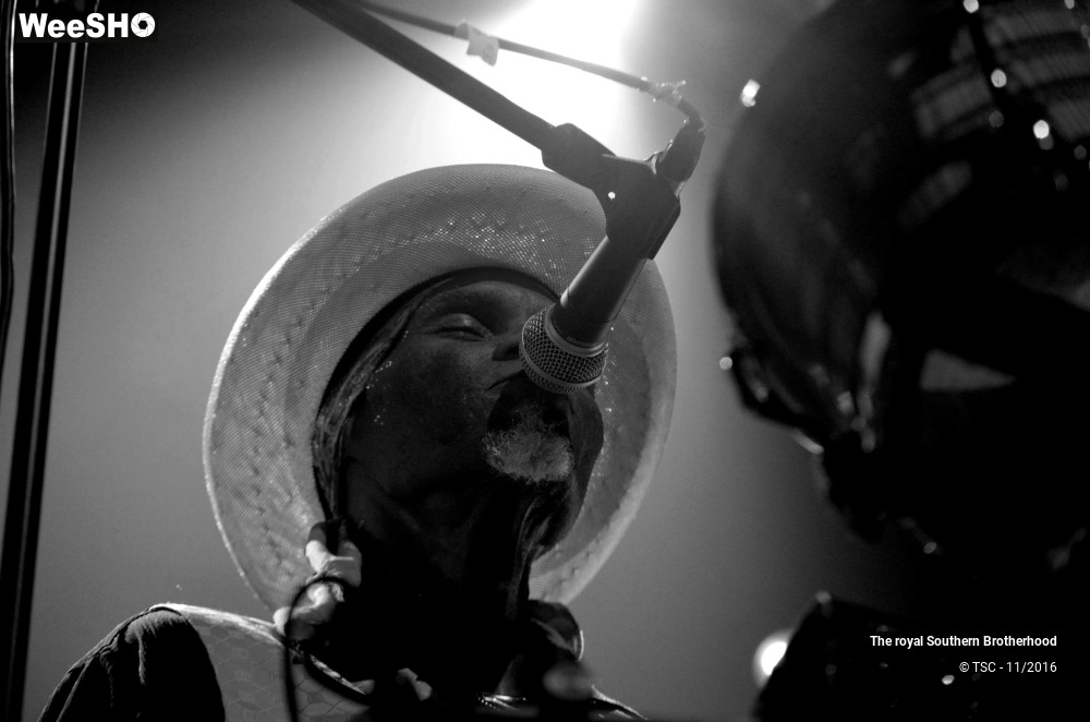 15/45 photos du spectacle The royal Southern Brotherhood