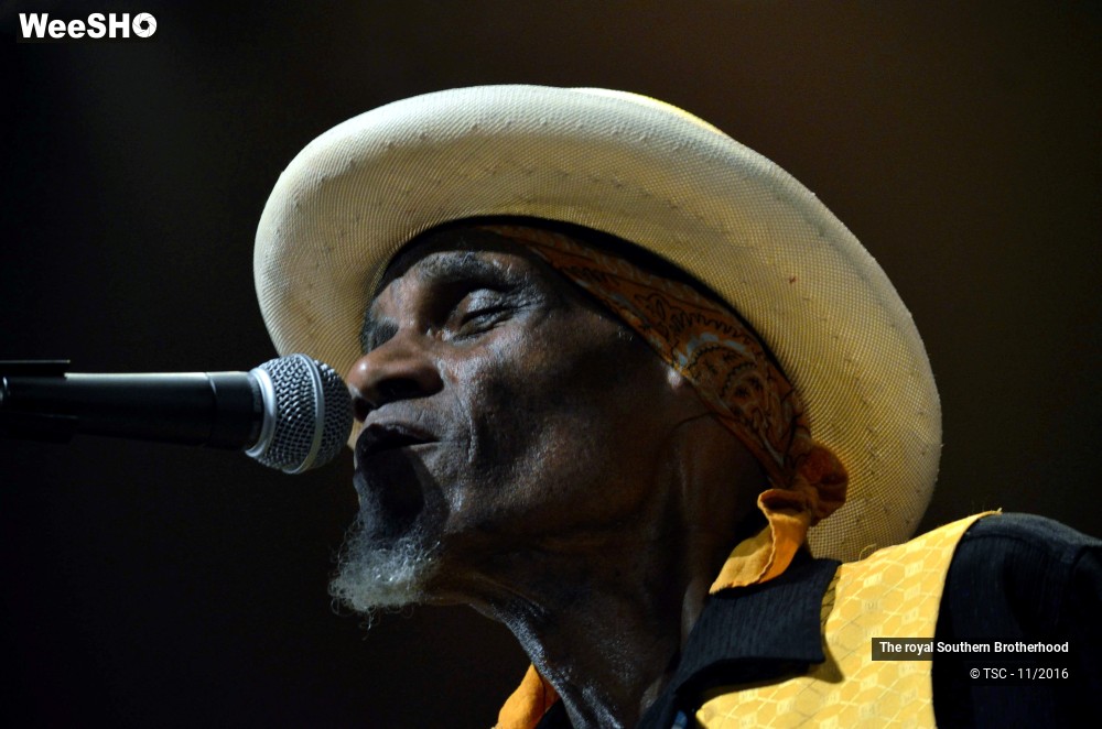 16/45 photos du spectacle The royal Southern Brotherhood