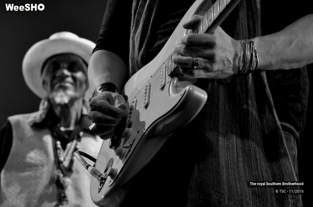 17/45 photos du spectacle The royal Southern Brotherhood