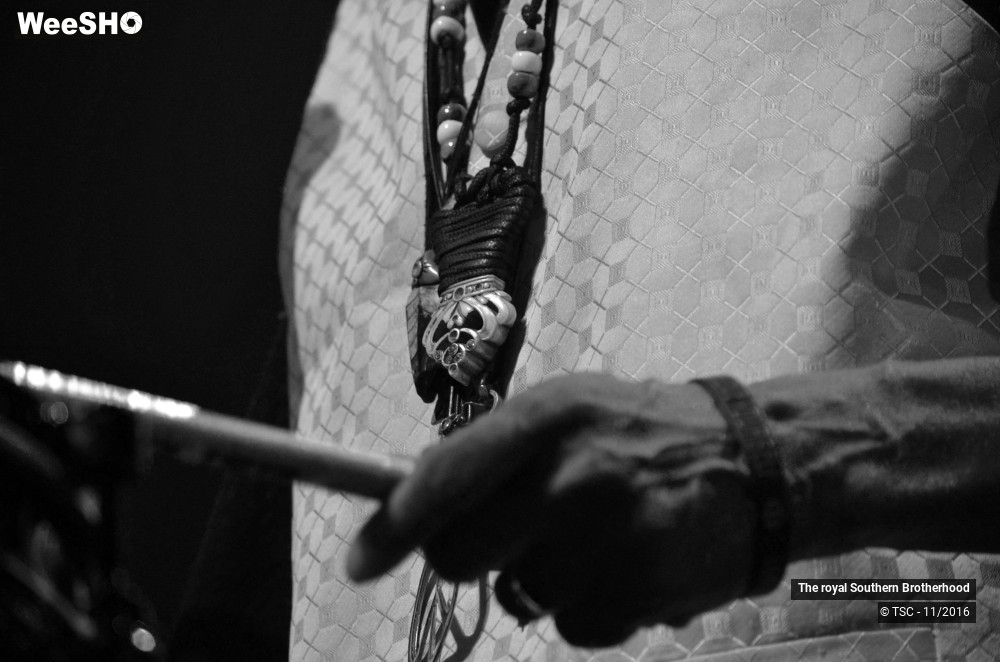 18/45 photos du spectacle The royal Southern Brotherhood