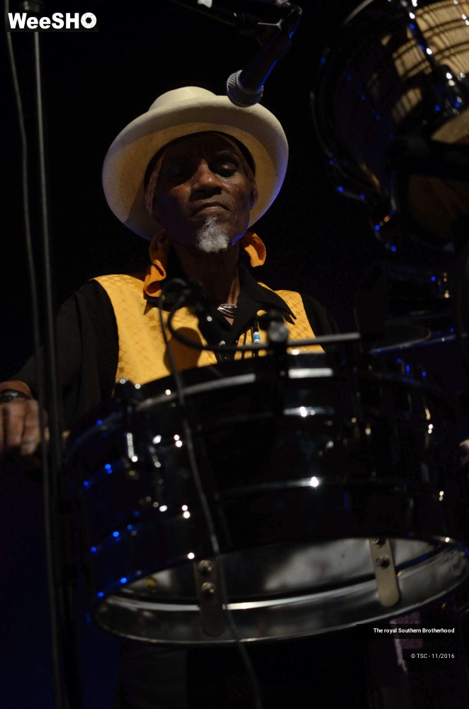 22/45 photos du spectacle The royal Southern Brotherhood