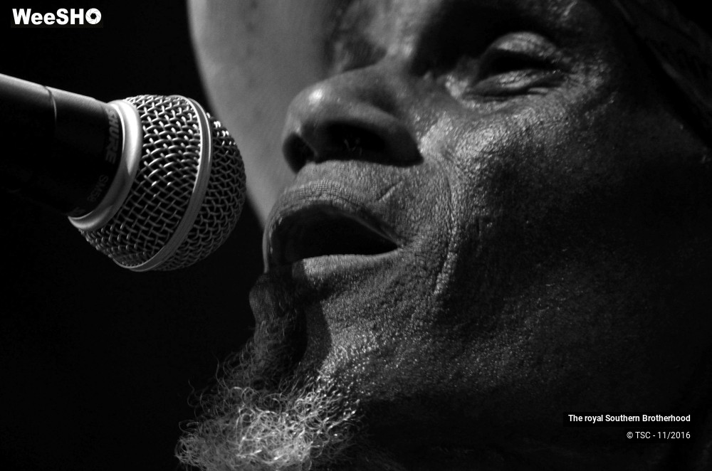 24/45 photos du spectacle The royal Southern Brotherhood